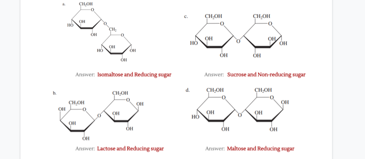 CH,OH
CH,OH
CH,OH
OH
но
CH;
OH
OH
но
OH
OH
OH
HO
OH
он
OH
Answer: Isomaltose and Reducing sugar
Answer: Sucrose and Non-reducing sugar
CH;OH
CH-OH
b.
CH;OH
OH
CH,OH
OH
он
OH
Но
OH
OH
Answer: Lactose and Reducing sugar
Answer: Maltose and Reducing sugar
