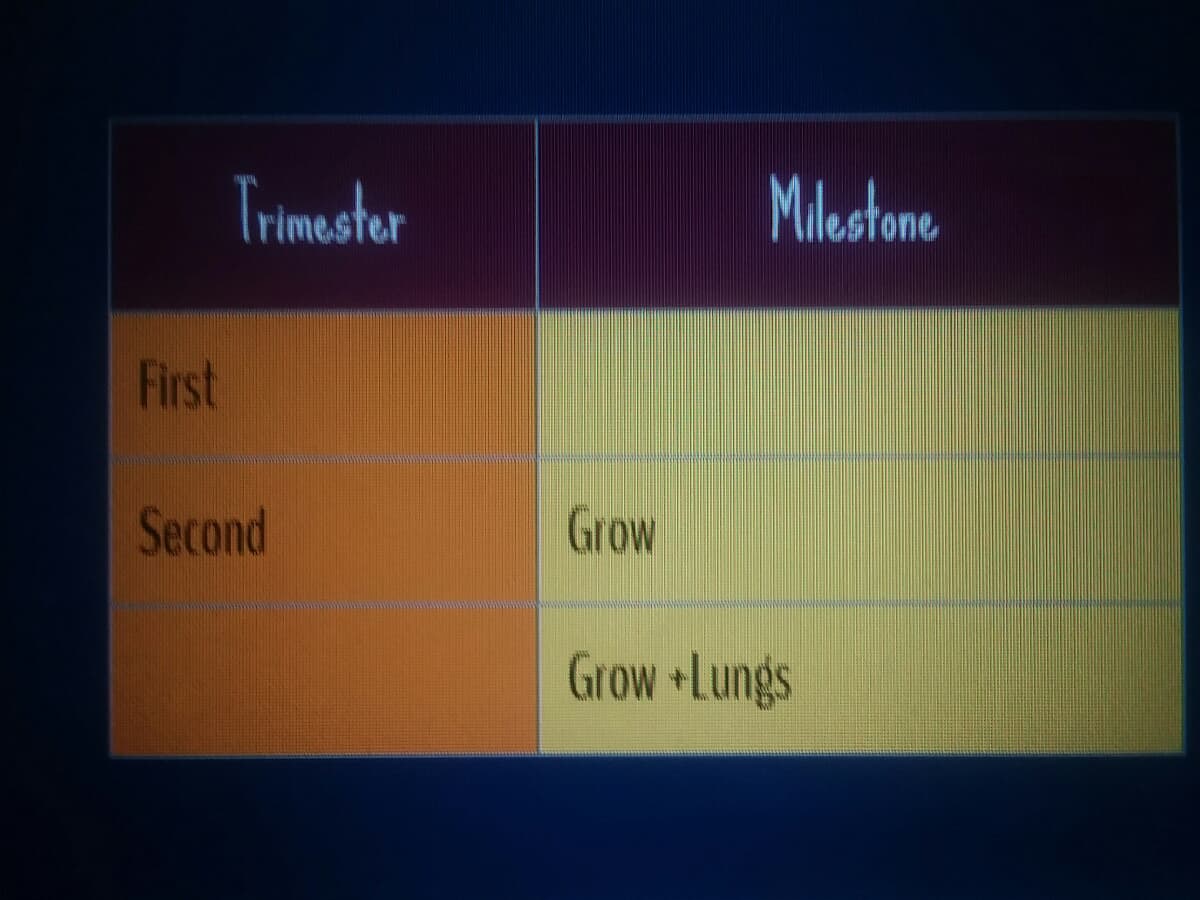 Trimester
Milestone
First
Second
Grow
Grow +Lungs
