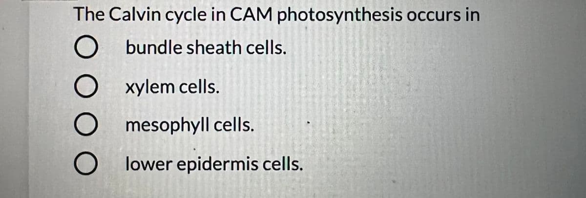 The Calvin cycle in CAM photosynthesis occurs in
bundle sheath cells.
O xylem cells.
mesophyll cells.
O lower epidermis cells.
O O O O
