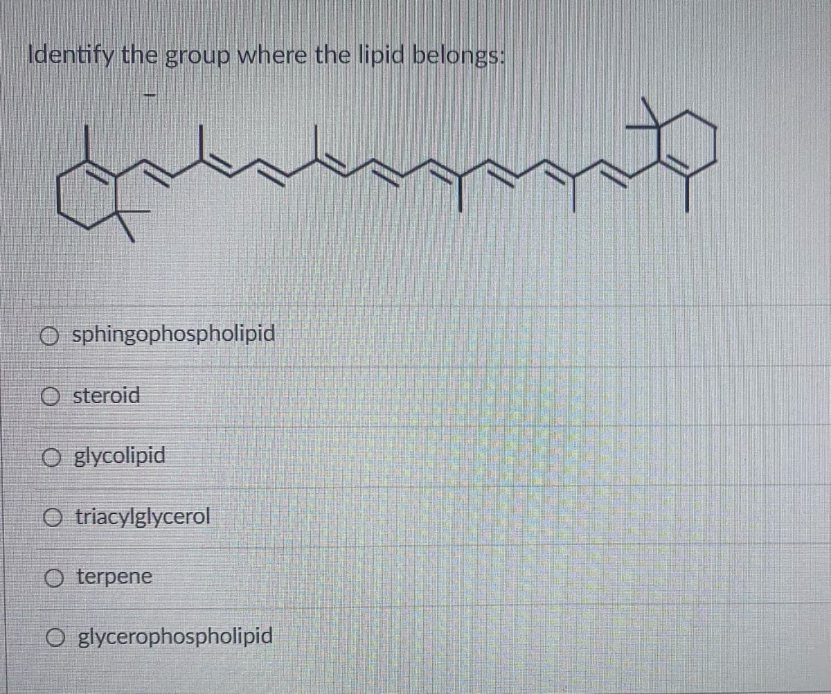 Identify the group where the lipid belongs:
O sphingophospholipid
O steroid
O glycolipid
O triacylglycerol
O terpene
O glycerophospholipid
