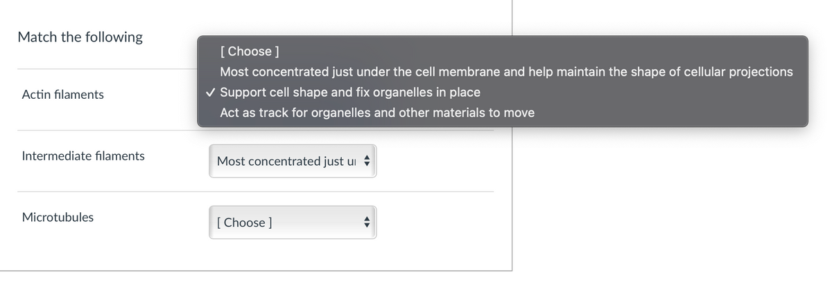 Match the following
Actin filaments
Intermediate filaments
Microtubules
[Choose ]
Most concentrated just under the cell membrane and help maintain the shape of cellular projections
✓ Support cell shape and fix organelles in place
Act as track for organelles and other materials to move
Most concentrated just u
[Choose ]