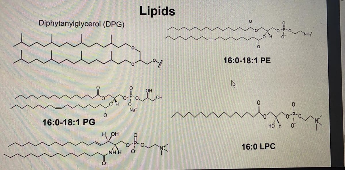 Lipids
Diphytanylglycerol (DPG)
NH3
16:0-18:1 PE
OH
HO
Na"
16:0-18:1 PG
но н
fark
H OH
16:0 LPC
NH H
