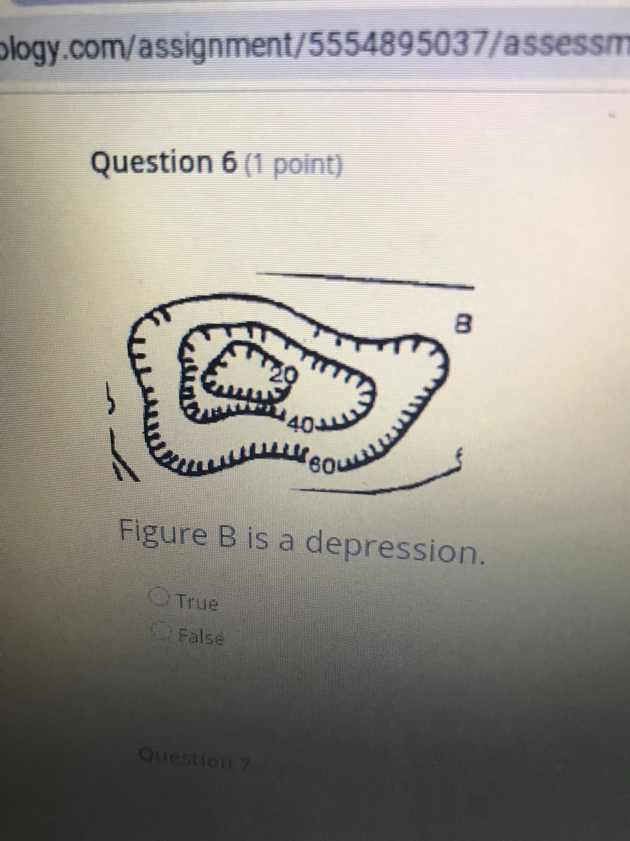 plogy.com/assignment/5554895037/assessm
Question 6 (1 point)
40
Figure B is a depression.
True
OFalse
Question 7
