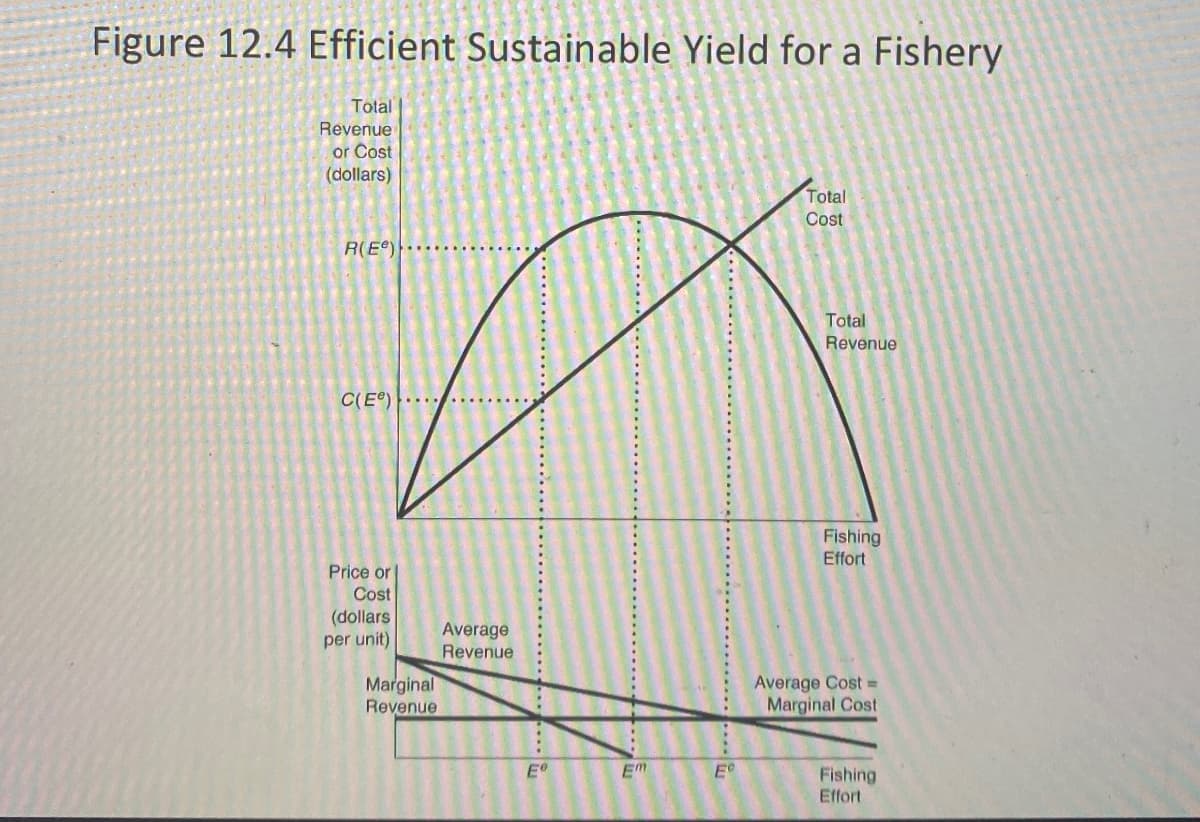 Figure 12.4 Efficient Sustainable Yield for a Fishery
Total
Revenue
or Cost
(dollars)
R(E)
C(E)...
Price or
Cost
(dollars
per unit)
Average
Revenue
Marginal
Revenue
Total
Cost
Total
Revenue
Fishing
Effort
Average Cost=
Marginal Cost
Eº
Em
E
Fishing
Effort