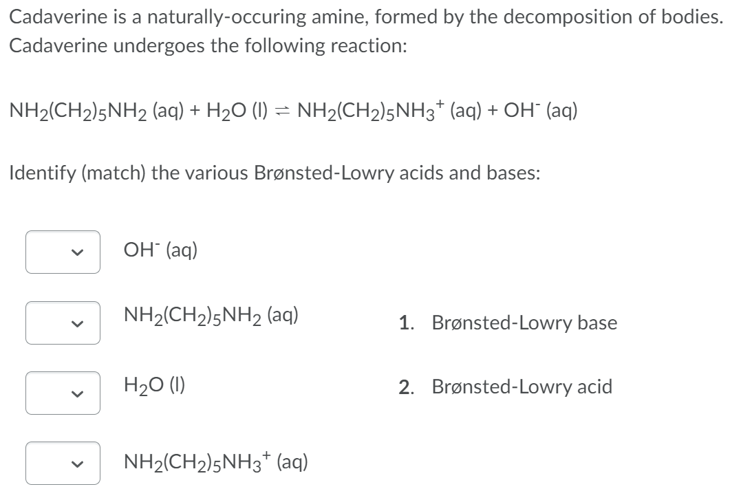 Cadaverine is a naturally-occuring amine, formed by the decomposition of bodies.
Cadaverine undergoes the following reaction:
NH₂(CH₂)5NH2 (aq) + H₂O (1) ⇒ NH2(CH2)5NH3† (aq) + OH¯ (aq)
=
Identify (match) the various Brønsted-Lowry acids and bases:
OH(aq)
NH₂(CH₂)5NH2 (aq)
H₂O (1)
NH₂(CH₂)5NH3+ (aq)
1. Brønsted-Lowry base
2. Brønsted-Lowry acid