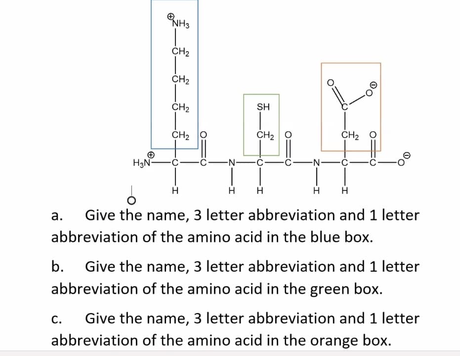 NH3
CH2
CH2
CH2
SH
CH2 O
CH2 O
CH2 O
H3N-C
-N-Ċ
CN-ċ–
H
а.
Give the name, 3 letter abbreviation and 1 letter
abbreviation of the amino acid in the blue box.
b.
Give the name, 3 letter abbreviation and 1 letter
abbreviation of the amino acid in the green box.
С.
Give the name, 3 letter abbreviation and 1 letter
abbreviation of the amino acid in the orange box.
