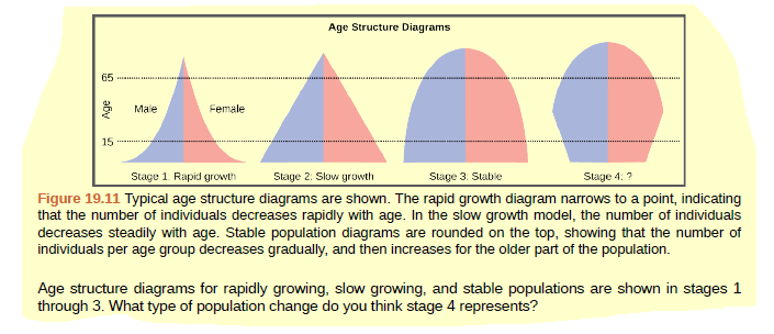 Age Structure Diagrams
65
... ..
Male
Female
15
Stage 1 Rapid growth
Stage 2: Slow growth
Stage 3. Stable
Stage 4: ?
Figure 19.11 Typical age structure diagrams are shown. The rapid growth diagram narrows to a point, indicating
that the number of individuals decreases rapidly with age. In the slow growth model, the number of individuals
decreases steadily with age. Stable population diagrams are rounded on the top, showing that the number of
individuals per age group decreases gradually, and then increases for the older part of the population.
Age structure diagrams for rapidly growing, slow growing, and stable populations are shown in stages 1
through 3. What type of population change do you think stage 4 represents?
