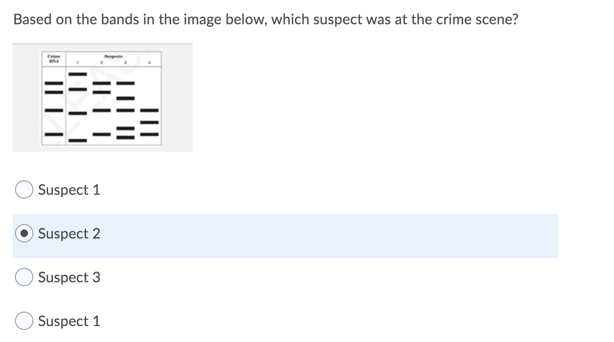 Based on the bands in the image below, which suspect was at the crime scene?
Crime
DNA
Supeets
Suspect 1
Suspect 2
Suspect 3
Suspect 1
