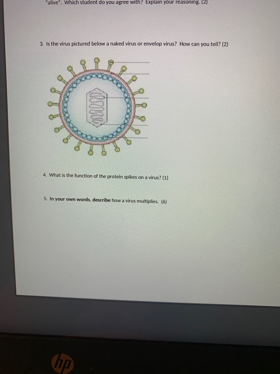 "alive". Which student do you agree with? Explain your reasoning. (2)
3. Is the virus pictured below a naked virus or envelop virus? How can you tell? (2)
4. What is the function of the protein spikes on a virus? (1)
5. In your own words, describe how a virus multiplies. (6)
hp
