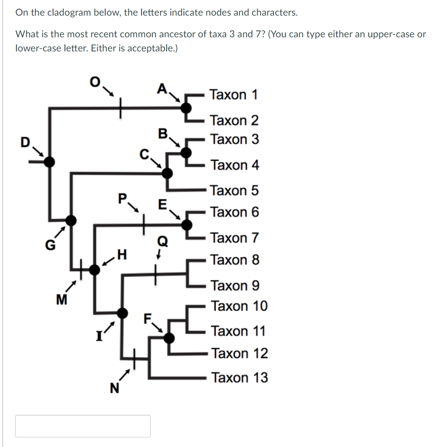 On the cladogram below, the letters indicate nodes and characters.
What is the most recent common ancestor of taxa 3 and 7? (You can type either an upper-case or
lower-case letter. Either is acceptable.)
Таxon 1
Тахon 2
B.
D
Тахon 3
Таxon 4
Таxon 5
P E.
Тахon 6
Тахon 7
G
Таxon 8
Тахon 9
M
Taxon 10
Таxon 11
Taxon 12
Taxon 13
N
