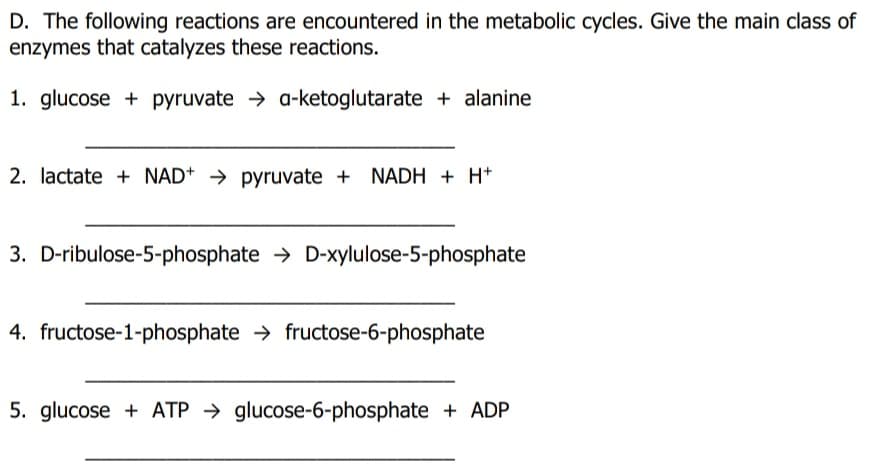 D. The following reactions are encountered in the metabolic cycles. Give the main class of
enzymes that catalyzes these reactions.
1. glucose + pyruvate → a-ketoglutarate + alanine
2. lactate + NAD+ → pyruvate + NADH + H+
3. D-ribulose-5-phosphate → D-xylulose-5-phosphate
4. fructose-1-phosphate → fructose-6-phosphate
5. glucose + ATP → glucose-6-phosphate + ADP
