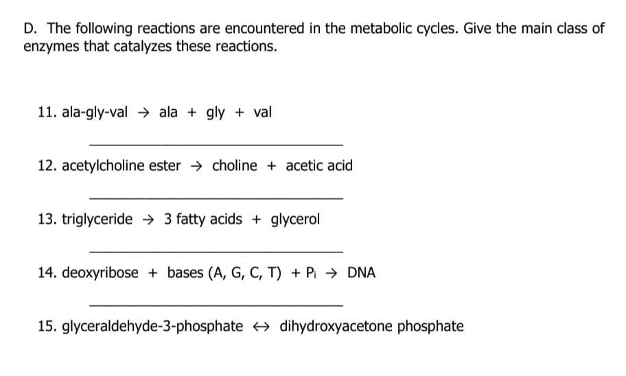 D. The following reactions are encountered in the metabolic cycles. Give the main class of
enzymes that catalyzes these reactions.
11. ala-gly-val → ala + gly + val
12. acetylcholine ester → choline + acetic acid
13. triglyceride → 3 fatty acids + glycerol
14. deoxyribose + bases (A, G, C, T) + Pi → DNA
15. glyceraldehyde-3-phosphate → dihydroxyacetone phosphate
