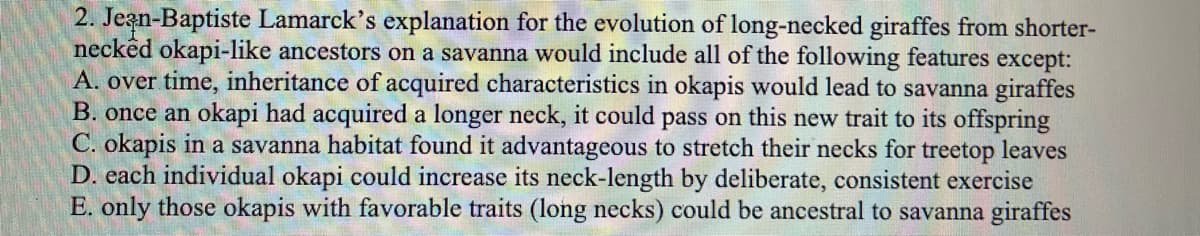 2. Jeąn-Baptiste Lamarck's explanation for the evolution of long-necked giraffes from shorter-
neckêd okapi-like ancestors on a savanna would include all of the following features except:
A. over time, inheritance of acquired characteristics in okapis would lead to savanna giraffes
B. once an okapi had acquired a longer neck, it could pass on this new trait to its offspring
C. okapis in a savanna habitat found it advantageous to stretch their necks for treetop leaves
D. each individual okapi could increase its neck-length by deliberate, consistent exercise
E. only those okapis with favorable traits (long necks) could be ancestral to savanna giraffes
