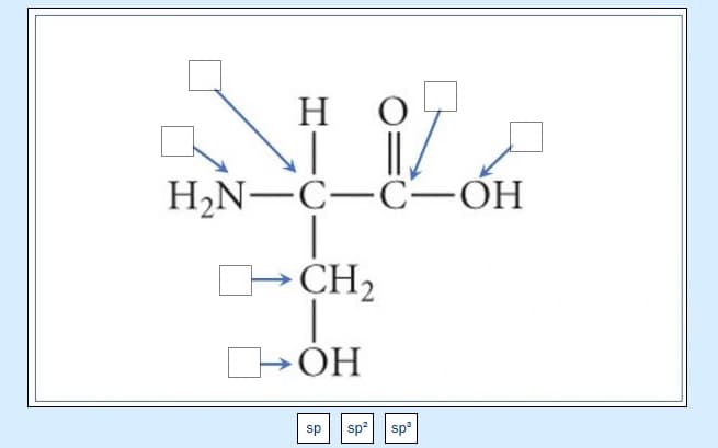 H
H2N-C-C -ÓH
L-CH2
OH
sp
sp?
sp
