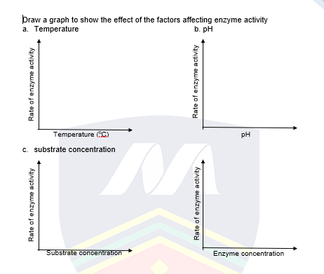Þraw a graph to show the effect of the factors affecting enzyme activity
a. Temperature
b. pH
Temperature (C)
pH
c. substrate concentration
Substrate concentration
Enzyme concentration
Rate of enzyme activity
Rate of enzyme activity
Rate of enzyme activity
Rate of enzyme activity
