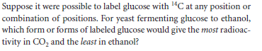 Suppose it were possible to label glucose with "C at any position or
combination of positions. For yeast fermenting glucose to ethanol,
which form or forms of labeled glucose would give the most radioac-
tivity in CO, and the least in ethanol?
