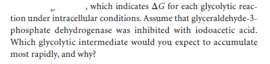 , which indicates AG for each glycolytic reac-
tion under intracellular conditions. Assume that glyceraldehyde-3-
phosphate dehydrogenase was inhibited with iodoacetic acid.
Which glycolytic intermediate would you expect to accumulate
most rapidly, and why?
