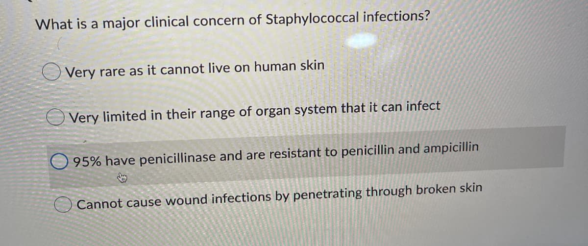 What is a major clinical concern of Staphylococcal infections?
Very rare as it cannot live on human skin
Very limited in their range of organ system that it can infect
95% have penicillinase and are resistant to penicillin and ampicillin
Cannot cause wound infections by penetrating through broken skin