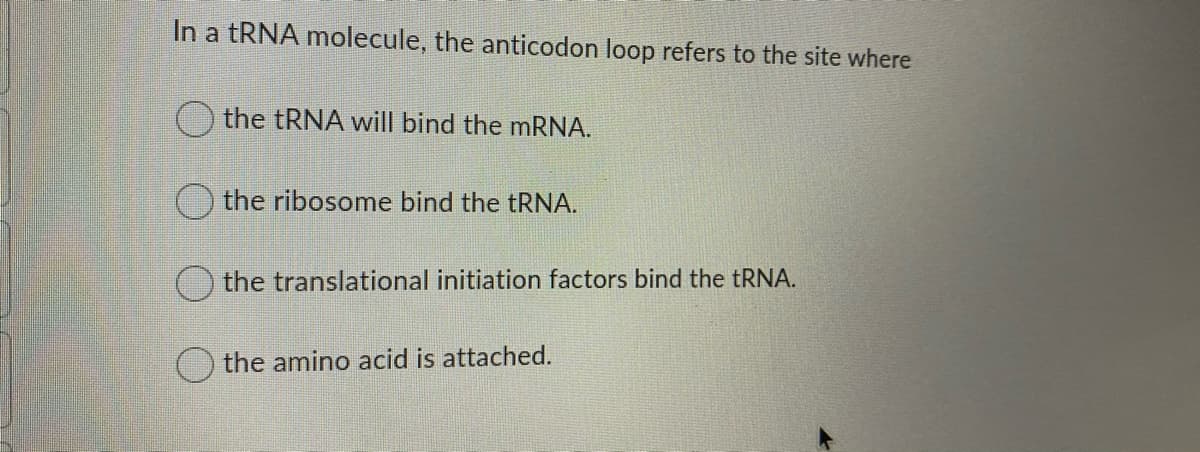In a tRNA molecule, the anticodon loop refers to the site where
the tRNA will bind the mRNA.
the ribosome bind the tRNA.
)the translational initiation factors bind the tRNA.
the amino acid is attached.
