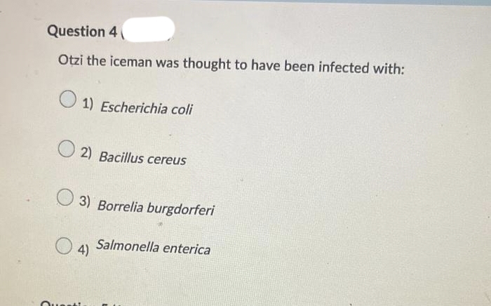 Question 4
Otzi the iceman was thought to have been infected with:
1) Escherichia coli
2) Bacillus cereus
3) Borrelia burgdorferi
4)
Questi
Salmonella enterica