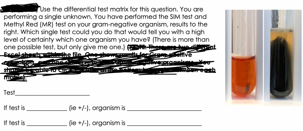 Use the differential test matrix for this question. You are
performing a single unknown. You have performed the SIM test and
Methyl Red (MR) test on your gram-negative organism, results to the
right. Which single test could you do that would tell you with a high
level of certainty which one organism you have? (There is more than
one possible test, but only give me one.)
There are two different
Crane positive
Excel she
the file
ragniems
SHOFF
able to
Test
If test is
(ie +/-), organism is
If test is
(ie +/-), organism is