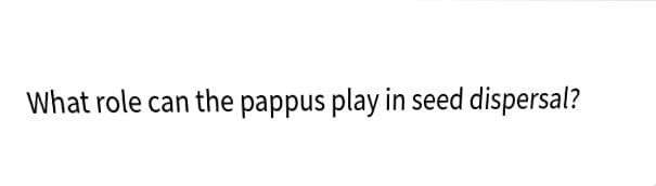 What role can the pappus play in seed dispersal?
