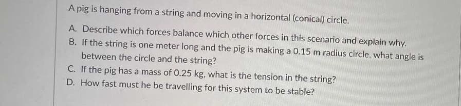 A pig is hanging from a string and moving in a horizontal (conical) circle.
A. Describe which forces balance which other forces in this scenario and explain why.
B. If the string is one meter long and the pig is making a 0.15 m radius circle, what angle is
between the circle and the string?
C. If the pig has a mass of 0.25 kg, what is the tension in the string?
D. How fast must he be travelling for this system to be stable?
