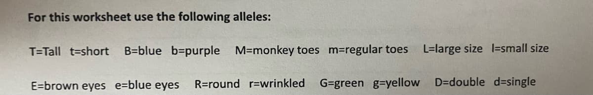 For this worksheet use the following alleles:
T=Tall t=short
B=blue b=purple M=monkey toes m=regular toes
L=large size l=small size
E=brown eyes e=blue eyes
R=round r=wrinkled
G=green g-yellow D=double d=single
