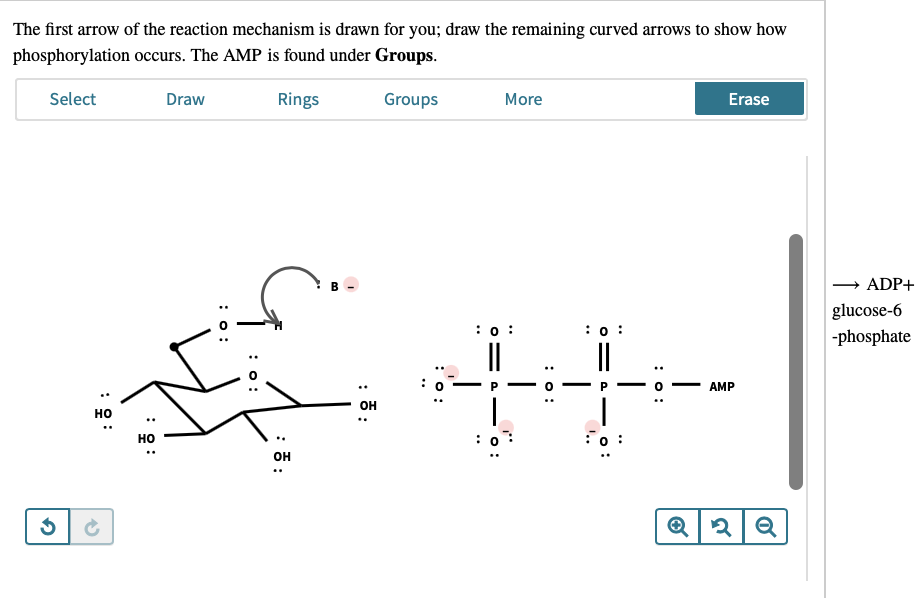 The first arrow of the reaction mechanism is drawn for you; draw the remaining curved arrows to show how
phosphorylation occurs. The AMP is found under Groups.
Select
Draw
Rings
Groups
More
Erase
→ ADP+
glucose-6
: :
o :
|-phosphate
||
AMP
он
но
но
он
..
: õ:
: o:
: 윤:
: ::
