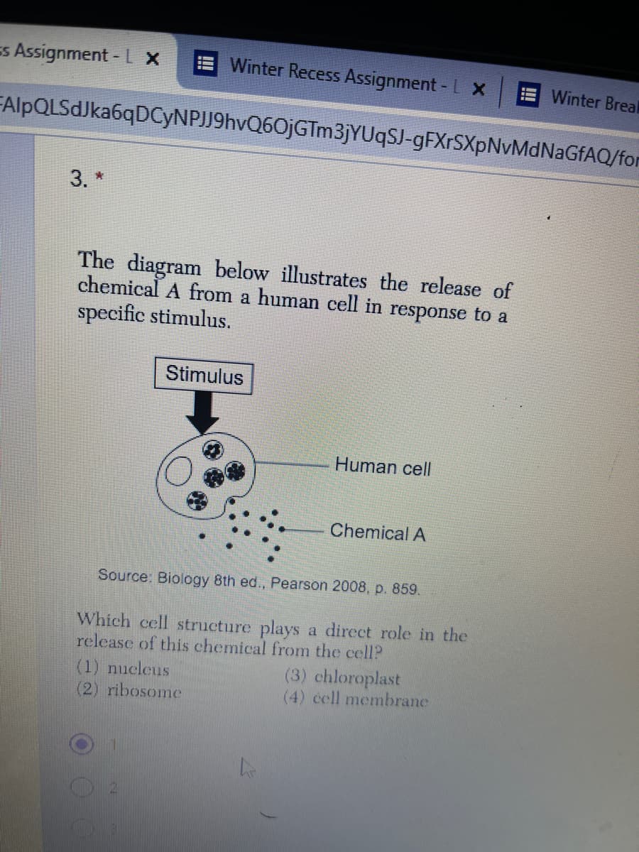 Es Assignment - L x
Winter Recess Assignment - L X
Winter Breal
FAlpQLSdJka6qDCyNPJJ9hvQ6OjGTm3jYUqSJ-gFXrSXpNvMdNaGfAQ/for
3. *
The diagram below illustrates the release of
chemical A from a human cell in response to a
specific stimulus.
Stimulus
Human cell
Chemical A
Source: Biology 8th ed., Pearson 2008, p. 859.
Which cell structure plays a direct role in the
release of this chemical from the cell?
(1) nucleus
(2) ribosome
(3) chloroplast
(4) cell membrane
