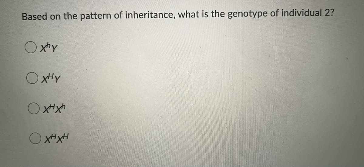 Based on the pattern of inheritance, what is the genotype of individual 2?
O xhy
OXHY
O xHxh
O XHXH
