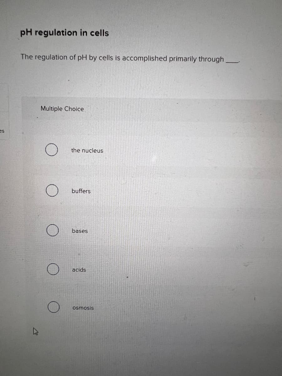 es
pH regulation in cells
The regulation of pH by cells is accomplished primarily through
Multiple Choice
the nucleus
buffers
bases
acids
osmosis