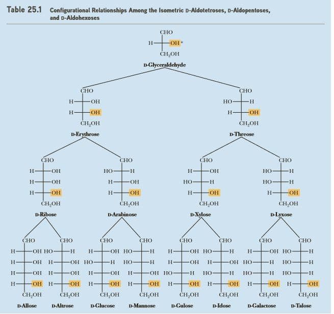 Table 25.1 Configurational Relationships Among the Isometric D-Aldotetroses, D-Aldopentoses,
and D-Aldohexoses
CHO
H-
• HO-
CH,OH
D-Glyceraldehyde
СНО
CHO
OH
Но-
H.
H
H-
HO-
CHOH
CH,OH
D-Erythrose
D-Threose
CHO
CHO
CHO
CHO
H-
HO-
HO
H FOH
Но
H-
H
OH
HO
HO
H-
HO-
HO-
HO-
CH,OH
ČHOH
ČHOH
ČHOH
D-Ribose
D-Arabinose
D-Xylose
D-Lyxose
СНО
СНО
CHO
CHO
СНО
СНО
СНО
CHO
ОН НО
-H-
H-
-ОН НО
H-
H-
OH HO-
H.
-ОН НО-
H.
FOH
H-
OH HO
H-
HO-
FOH
H FOH HO-
H-
Но-
H-
-HO-
H-
HO-
H
-HO-
H-
OH HO-
HO-
HO
H-
но-
H-
HO-
HO-
H-
HO-
HO-
H-
HO-
H FOH
OH
HO-
CH,OH
ČH,OH
ČH,OH
CH,OH
ČH,OH
CH,OH
ČH,OH
ČH,OH
D-Allose
D-Altrose
D-Glucose
D-Mannose
D-Gulose
D-Idose
D-Galactose
D-Talose
