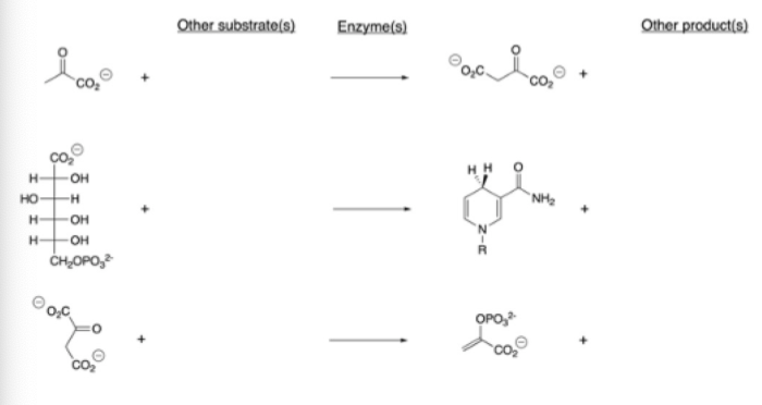 Other substrate(s)
Enzyme(s)
Other product(s)
OH
но-
--
`NH2
H-
H-
он
CH,OPO,
OPO,
