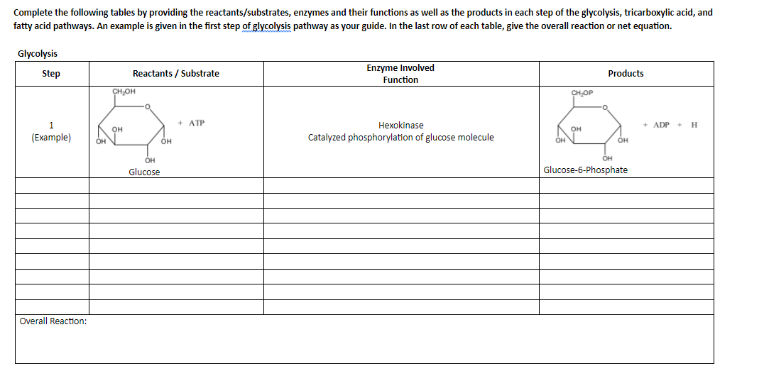Complete the following tables by providing the reactants/substrates, enzymes and their functions as well as the products in each step of the glycolysis, tricarboxylic acid, and
fatty acid pathways. An example is given in the first step of glycolysis pathway as your guide. In the last row of each table, give the overall reaction or net equation.
Glycolysis
Enzyme Involved
Function
Step
Reactants / Substrate
Products
CH,OH
CH,OP
+ ATP
Нехokinase
+ ADP + H
OH
он
(Example)
Catalyzed phosphorylation of glucose molecule
OH
OH
он
ÓH
он
Glucose
Glucose-6-Phosphate
Overall Reaction:
