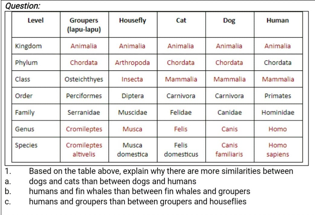 Question:
Level
Housefly
Groupers
(lapu-lapu)
Cat
Dog
Human
Kingdom
Animalia
Animalia
Animalia
Animalia
Animalia
Phylum
Chordata
Arthropoda
Chordata
Chordata
Chordata
Class
Osteichthyes
Insecta
Mammalia
Mammalia
Mammalia
Order
Perciformes
Diptera
Carnivora
Carnivora
Primates
Family
Serranidae
Muscidae
Felidae
Canidae
Hominidae
Genus
Cromileptes
Musca
Felis
Canis
Homo
Felis
Cromileptes
altivelis
Species
Musca
Canis
Homo
domestica
domesticus
familiaris
sapiens
Based on the table above, explain why there are more similarities between
dogs and cats than between dogs and humans
humans and fin whales than between fin whales and groupers
humans and groupers than between groupers and houseflies
1.
а.
b.
С.
