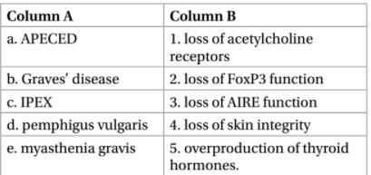 Column A
Column B
a. APECED
1. loss of acetylcholine
receptors
b. Graves' disease
с. IРЕХ
|d. pemphigus vulgaris 4. loss of skin integrity
2. loss of FoxP3 function
3. loss of AIRE function
e. myasthenia gravis
5. overproduction of thyroid
hormones.
