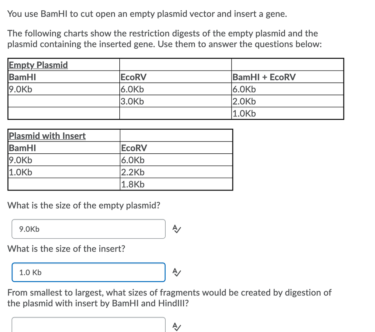 You use BamHI to cut open an empty plasmid vector and insert a gene.
The following charts show the restriction digests of the empty plasmid and the
plasmid containing the inserted gene. Use them to answer the questions below:
Empty Plasmid
BamHI
9.0Kb
EcoRV
6.0Kb
3.0Kb
BamHI + EcoRV
6.0Kb
2.0Kb
|1.0Kb
Plasmid with Insert
BamHI
9.0Kb
|1.ОКЬ
EcoRV
6.0Kb
2.2Kb
1.8Kb
What is the size of the empty plasmid?
9.0Kb
What is the size of the insert?
1.0 KЬ
From smallest to largest, what sizes of fragments would be created by digestion of
the plasmid with insert by BamHI and Hindll1?
