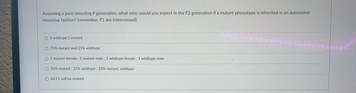 Assuming a pure-breeding P generation, what ratio would you expect in the F2 generation if a mutant phenotype is inherited in an autosomal
recessive fashion? (remember, F1 are intercrossed)
O 3 wildtype:1 mutant
O 75% mutant and 25% wildtype
O 1 mutant female : 1 mutant male: 1 wildtype female : 1 wildtype male
O 50% mutant: 25% wildtype : 25% mutant, wildtype
O All F2 will be mutant