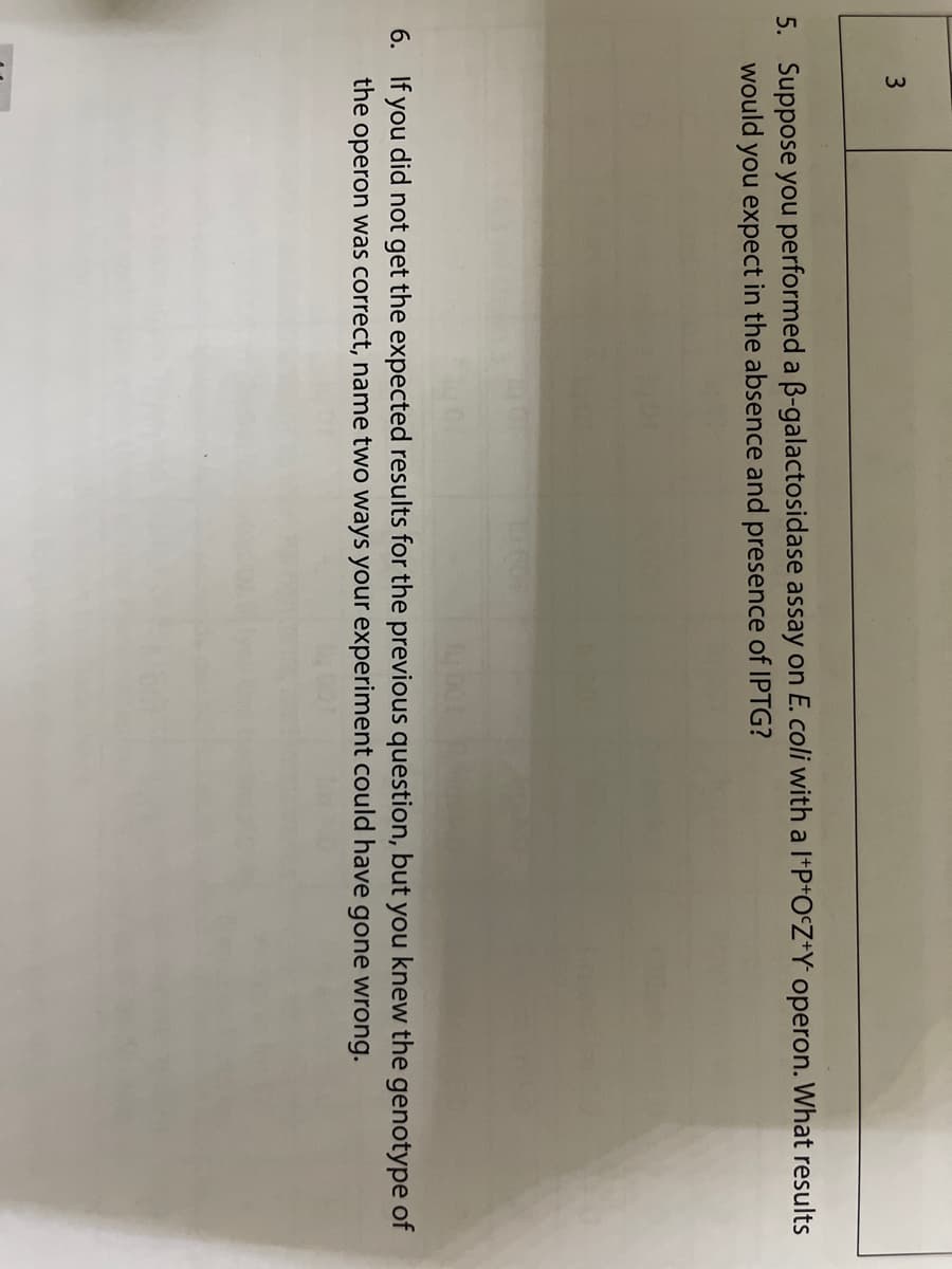 3
5. Suppose you performed a B-galactosidase assay on E. coli with a l*P+O°Z*Y operon. What results
would you expect in the absence and presence of IPTG?
6. If you did not get the expected results for the previous question, but you knew the genotype of
the operon was correct, name two ways your experiment could have gone wrong.
