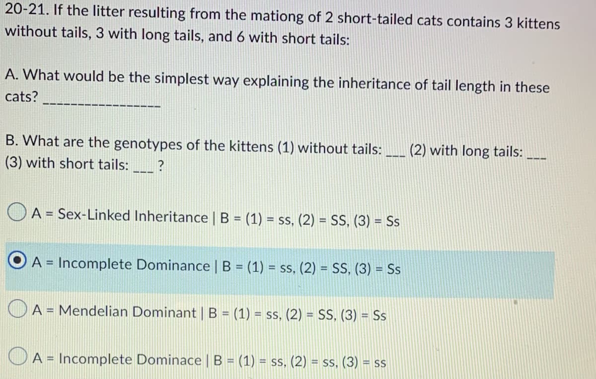 20-21. If the litter resulting from the mationg of 2 short-tailed cats contains 3 kittens
without tails, 3 with long tails, and 6 with short tails:
A. What would be the simplest way explaining the inheritance of tail length in these
cats?
B. What are the genotypes of the kittens (1) without tails: (2) with long tails:
(3) with short tails: ___ ?
A = Sex-Linked Inheritance | B = (1) = ss, (2) = SS, (3) = Ss
A = Incomplete Dominance | B = (1) = ss, (2) = SS, (3) = Ss
A = Mendelian Dominant | B = (1) = ss, (2) = SS, (3) = Ss
A = Incomplete Dominace | B = (1) = ss, (2) = ss, (3) = ss
