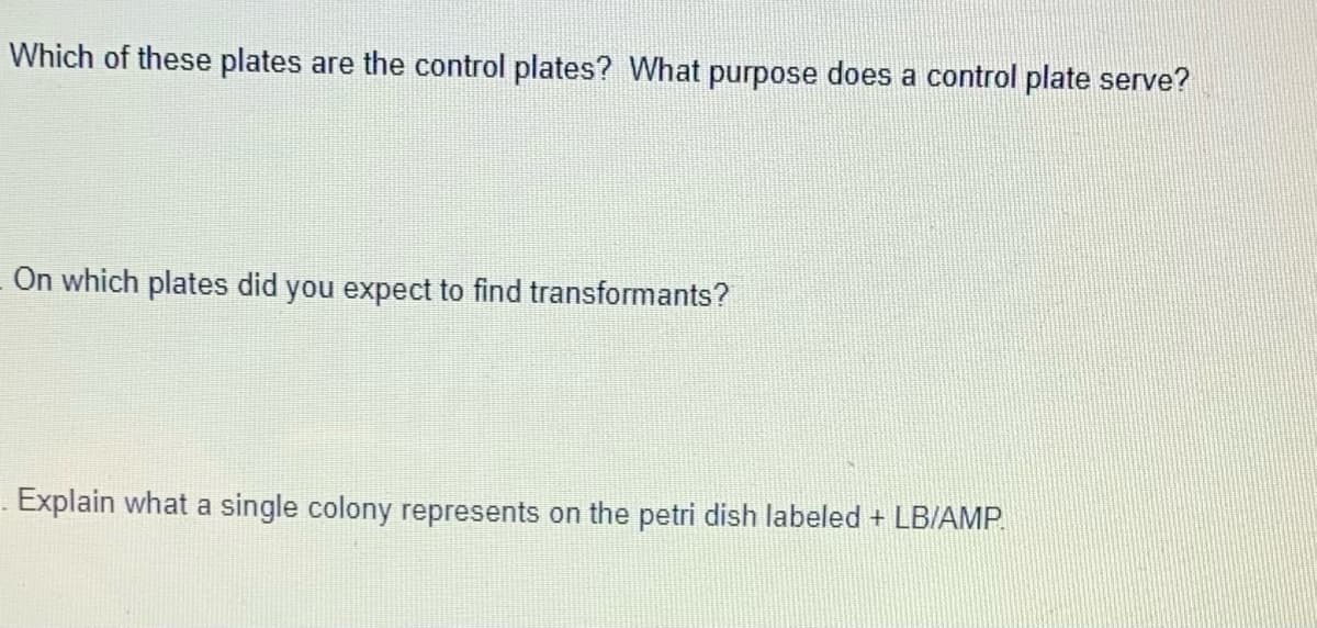 Which of these plates are the control plates? What purpose does a control plate serve?
On which plates did you expect to find transformants?
Explain what a single colony represents on the petri dish labeled + LB/AMP.
