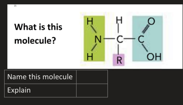 21
What is this
molecule?
N-C-C
H.
R
OH
Name this molecule
Explain
IICI
