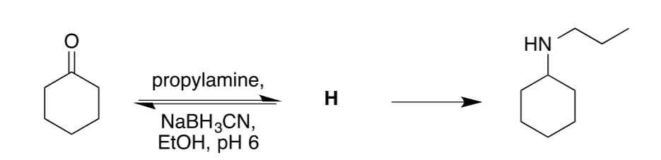 HN
propylamine,
H
NABH3CN,
ELOH, pH 6
