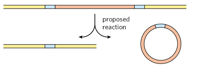 proposed
reaction
