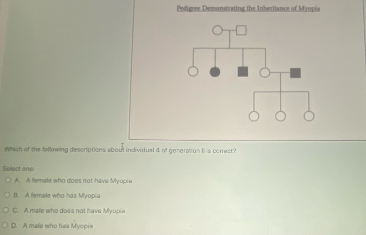 Pedigree Demonstrating the Inheritance of Myopia
Which of the following descriptions about individual 4 of generation II is correct?
Select one:
OA. A female who does not have Myopia
OB. A female who has Myopia
OC. A male who does not have Myopia
OD. A male who has Myopia