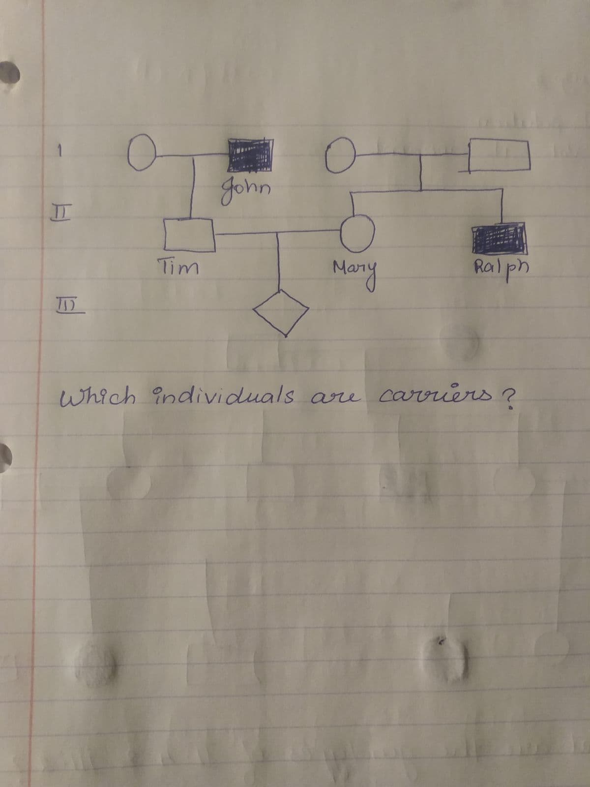 gohn
II
Ralph
Tim
Many
which individuals are carriers ?

