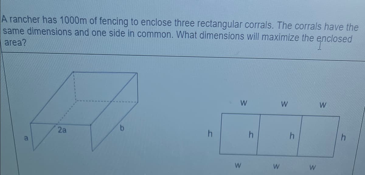 A rancher has 1000m of fencing to enclose three rectangular corrals. The corrals have the
same dimensions and one side in common. What dimensions will maximize the enclosed
area?
W
W
W
2a
a
W
w/
