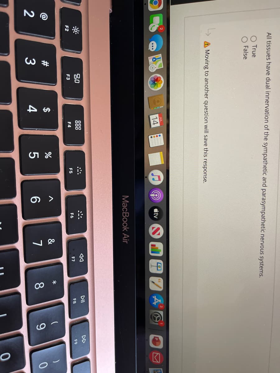 72
F2
All tissues have dual innervation of the sympathetic and parasympathetic nervous systems.
O True
False
A Moving to another question will save this response.
#3
80
F3
S4
4
14
8888
F4
●
%
15
F5
MacBook Air
A
atv
6
F6
:
&
7
174
◄◄
F7
=
8
DII
F8
9
F9
0
0