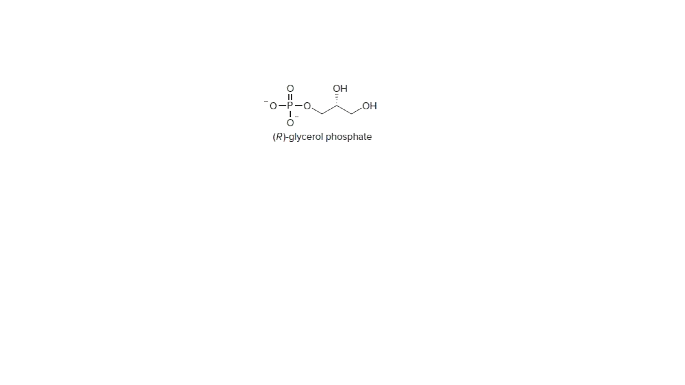OH
HO
(R)-glycerol phosphate

